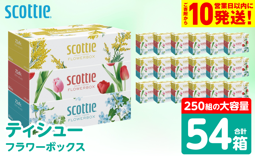 【スコッティ】 ティシュー フラワーボックス 250組 54箱 ティッシュ 日用品 生活必需品 防災備蓄 ストック 備蓄 新生活 防災 消耗品 生活用品 日用消耗品 箱ティッシュ