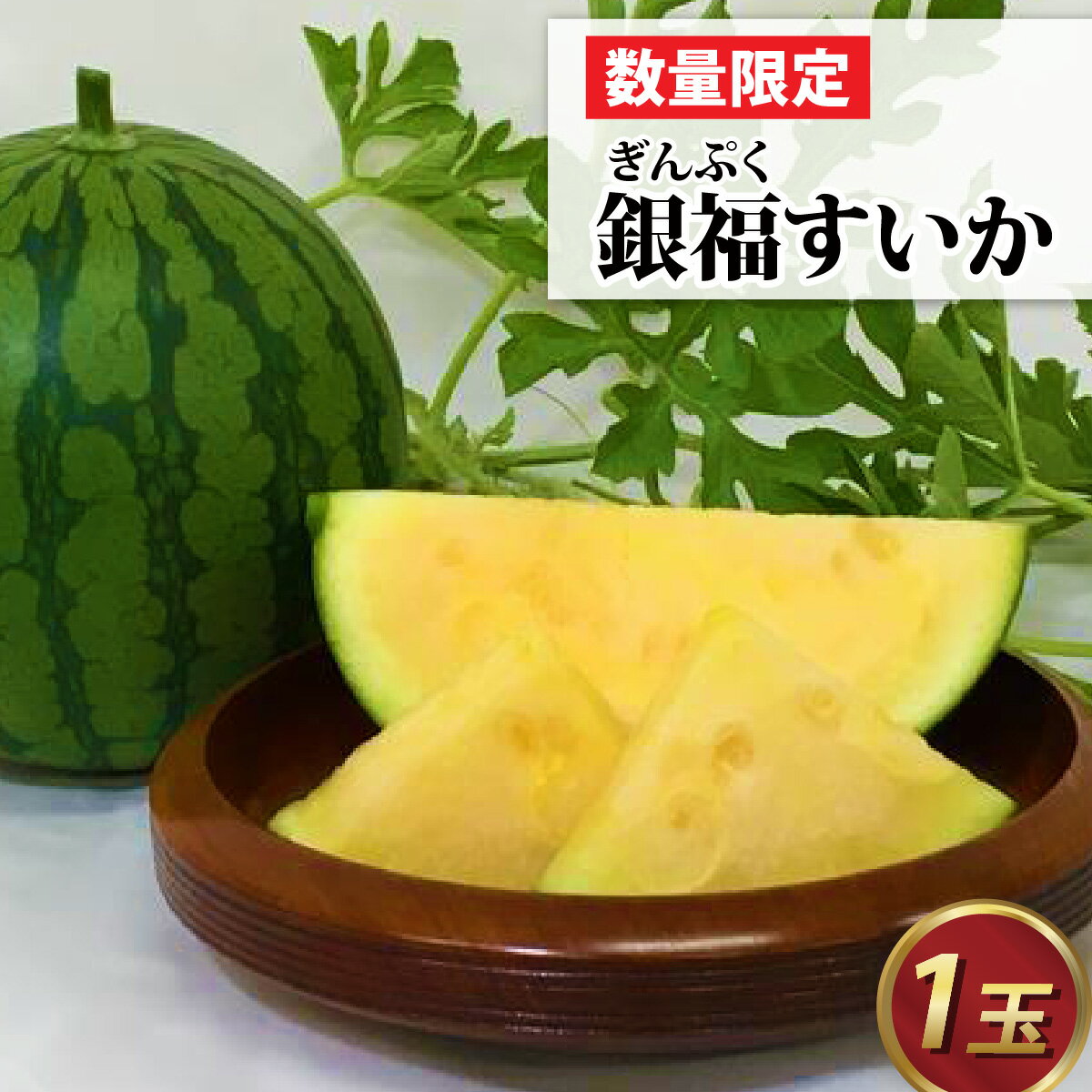 【ふるさと納税】【先行予約】銀福（ぎんぷく）すいか 1玉 【6月中旬発送】 / 小玉すいか 西瓜 スイカ 新品種 高糖度 甘い 種少ない 国産 福井県 福井市 送料無料 [A-022004]