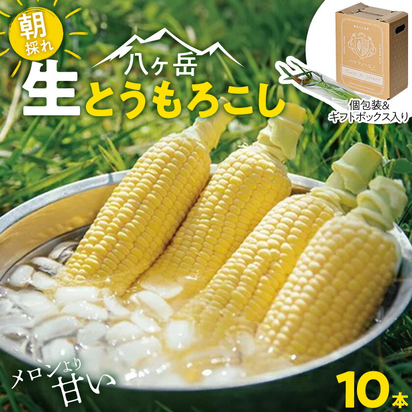【ふるさと納税】　【先行予約】朝採れ 八ヶ岳生とうもろこし 10本〈2026年7月下旬～9月下旬発送予定〉【配送不可地域：離島】【1574950】