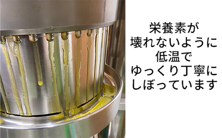 エゴマオイル(EGOMA OIL) 100g×3本セット 無農薬栽培 低温直圧搾油法 大分県産＜143-007_5＞