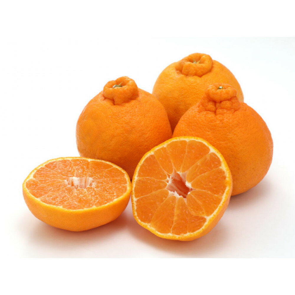 【ふるさと納税】【選べる容量】訳あり 森本農園の手選別 不知火 約2～8kg 和歌山県産 サイズ混合［北海道・沖縄・離島配送不可］ | みかん 蜜柑 フルーツ 果物 くだもの 食品 人気 おすすめ 送料無料