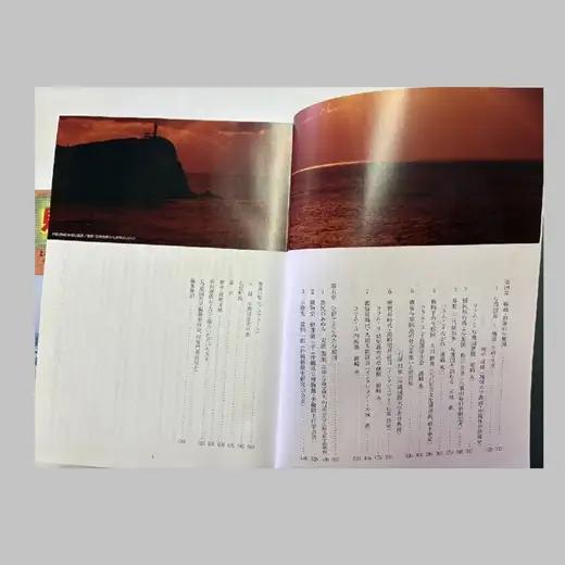 町史 第三巻 歴史編 与那国島 C005 郷土史 資料 地理 地名 調査資料 研究資料 史料