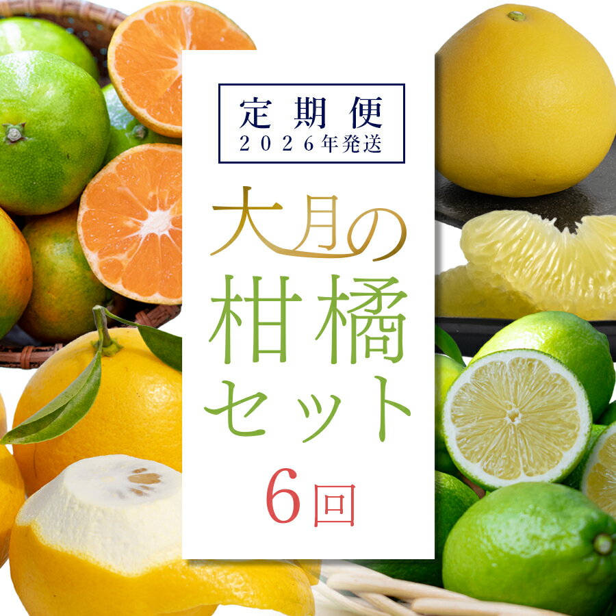 【ふるさと納税】【定期便6回】大月の柑橘セット