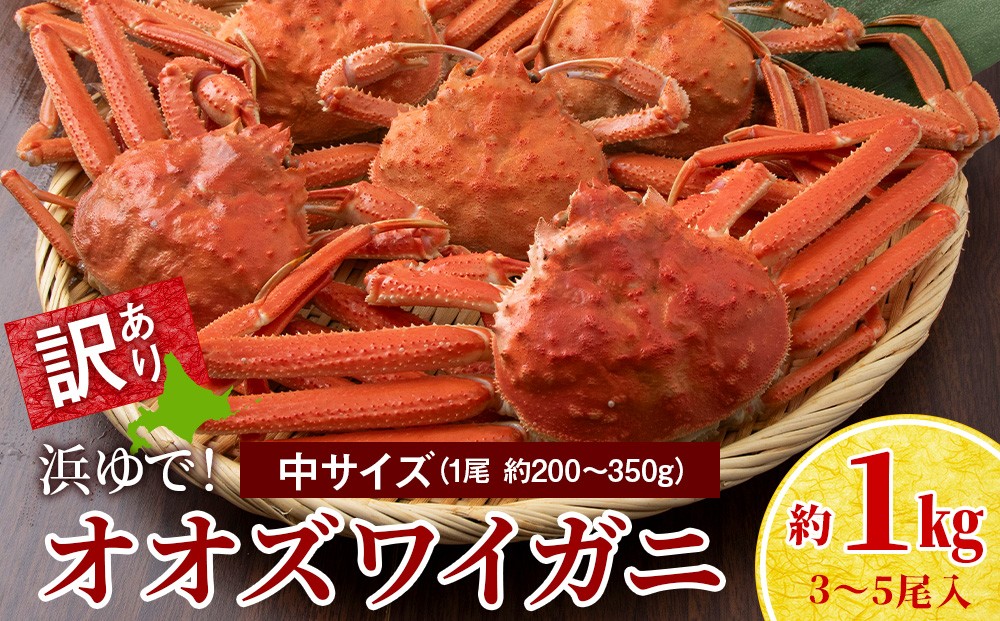 
                  【7営業日以内発送】訳あり オオズワイガニオス 中サイズ (約200-350g) 浜ゆで 1kg (3-5尾入)
                