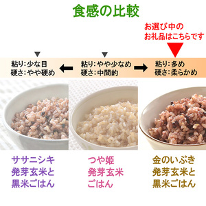 金のいぶき発芽玄米と黒米を炊いたごはん150g×40パック（有機栽培玄米使用）