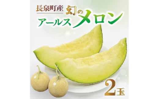 【先行予約】アールスメロン  2玉  1.4kg以上 ×2玉 数量限定 幻のメロン 長泉 メロン フルーツ めろん 果物 スイーツ 予約受付 7月から順次発送 お中元 ギフト 贈答用 プレゼント 取り寄せ 果汁 静岡県 長泉町