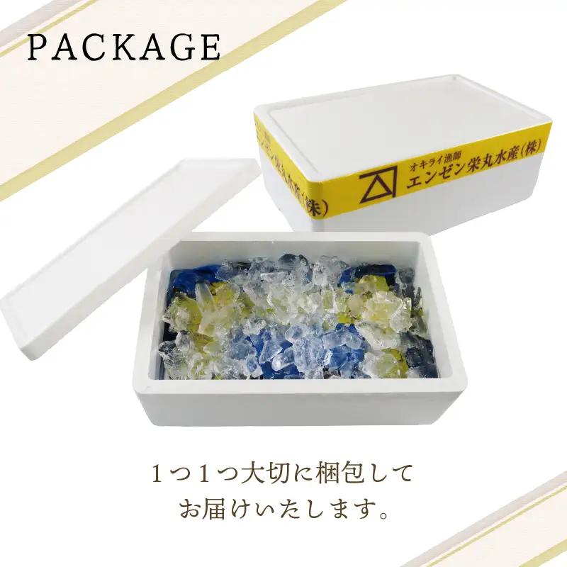 活ムール貝 3kg 国産 冷蔵 ＼ ムール貝 ／
