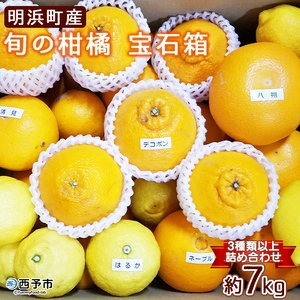 ＜愛媛県明浜産 旬の柑橘 宝石箱（3種類以上詰め合わせ）約7kg＞温州みかん ポンカン イヨカン はるか 紅ハッサク ネーブル せとか 不知火 デコポン 清見 紅甘夏 ブラッドオレンジ 宇都宮農園 西予市【常温】『2026年2月上旬～4月上旬迄に順次出荷予定』AUN0002