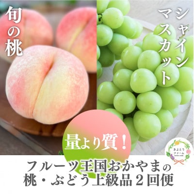 【発送月固定定期便】桃とシャインマスカット どっちも食べたい便(岡山県産)全2回【配送不可地域：離島・北海道・沖縄県】