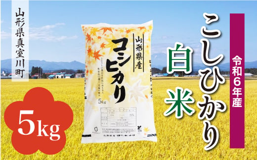 
            ＜配送時期が選べて便利＞ 令和6年産 真室川町 コシヒカリ  ［白米］ 5kg（5kg×1袋）
          