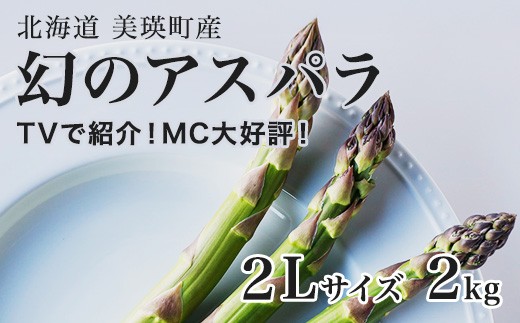 
                  【令和9年産先行予約】幻のアスパラ 2Lサイズ 2kg ラスノーブル 令和9年産 北海道 美瑛町 本山農場 グリーンアスパラ | グリーン アスパラガス アスパラ あすぱら あすぱらがす 採れたて ギフト 贈答 新鮮 旬 産地直送 野菜 [029-20]
                