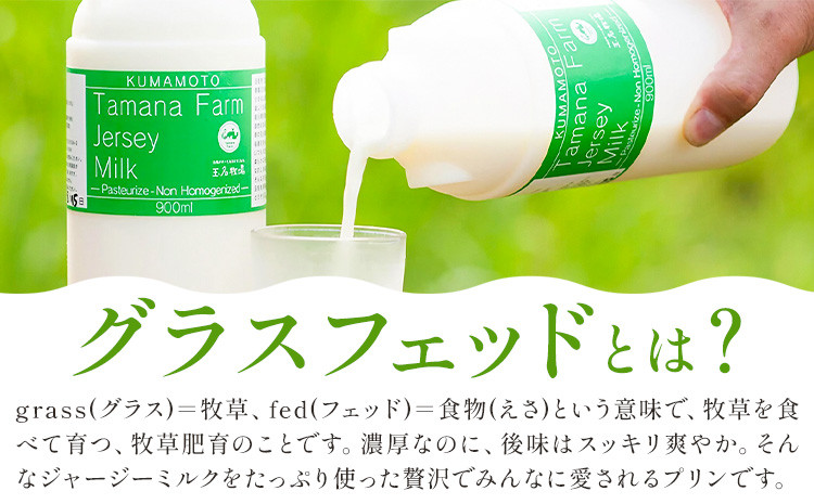 きくち村の グラスフェッドプリン 箱付き 計480g（80g×6個）セット