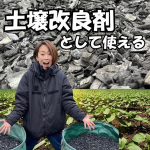 竹炭 特大粒 9L 土壌改良 園芸 消臭 調湿効果｜竹炭 観葉植物 調湿 ポーラス竹炭 菌ちゃん農法 [0595]
