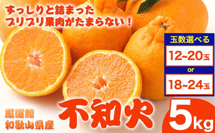 
                  【先行予約】和歌山県産 不知火 選べる 約5kg 厳選館《2027年2月中旬-4月上旬頃出荷》和歌山県 日高川町 デコポン でこぽん 柑橘 不知火 しらぬい 大玉 送料無料
                