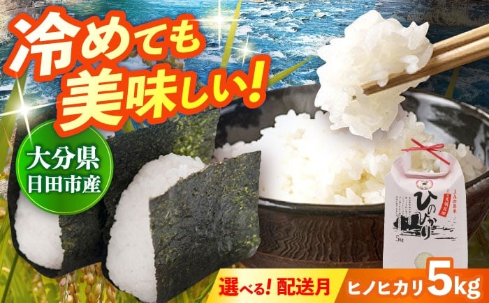 
            【配送時期が選べる・25年11月以降発送】令和7年産 大分県産 ヒノヒカリ 5kg  おこめ こめ  米 お米 白米 コメ ご飯 ごはん ライス 新米 国産 okome 日田市 / JAおおいた日田グリーンセンター  [ARDX004,ARDX006-015]
          