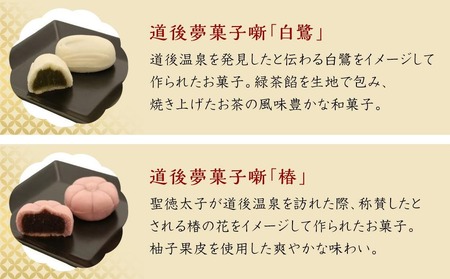 一六名菓セットEB ( 一六 一六タルト クルミーユ 坊っちゃんだんごマドンナだんご ひと切れカステラ 道後夢菓子噺 竹の里 姫たんざく 三笠 一六名物しょうゆ餅 ) 和菓子 菓子 スイーツ 【IR0