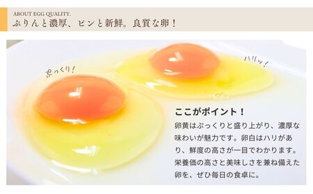 こだわり卵 30個 甘くてコクがあるたまご 信州産卵 千曲市産卵 美味しい卵
