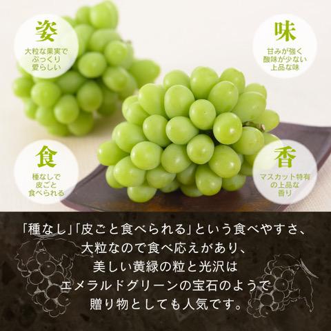 岡山県産 シャインマスカット 1kg以上（2～3房）＜2025年9月上旬～10月下旬発送＞