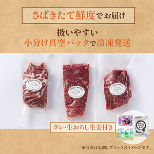 【フジチク】熊本と畜 ふじ馬刺し 赤身馬刺し3種 ユッケ ネギトロ 詰め合わせ 赤身 希少部位 上赤身 ロース ランプ ユッケ ネギトロ 専用たれ 赤身各80g ユッケ ネギトロ各50g 計390g 