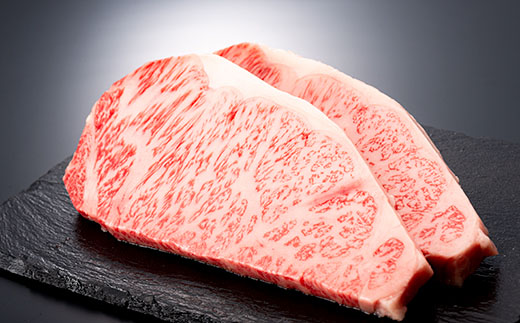 産地直送 4等級以上 山形牛 サーロインステーキ 400g（200g×2枚） にく 肉 お肉 牛肉 山形県 新庄市 F3S-0493