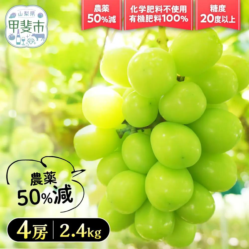 【2026年／令和8年発送】樹上完熟シャインマスカット（特別栽培）2.4㎏／4房