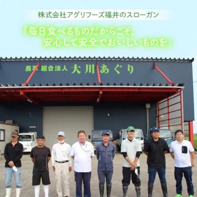 ふるさと納税 坂井市 おおかわさんちのこしひかり 5kg [A-10804] |  | 02