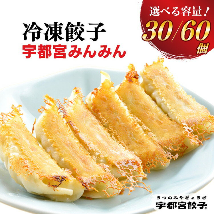 【ふるさと納税】【選べる内容量】宇都宮餃子【宇都宮みんみん】餃子 ◇【ぎょうざ ギョウザ ギョーザ 冷凍食品 冷凍餃子 惣菜 夜ご飯 おかず おつまみ 手軽 時短 お取り寄せ グルメ 送料無料 栃木県 宇都宮市】※離島への配送不可