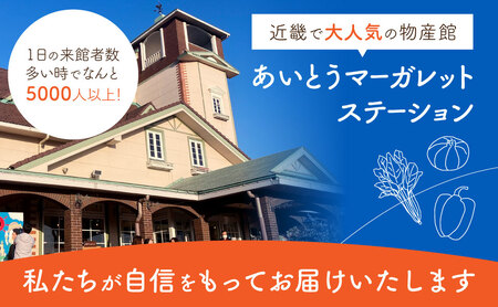 季節の旬野菜セット　A51　一般財団法人 愛の田園振興公社【野菜 詰め合わせセット 野菜セット 旬の野菜 野菜 詰め合わせセット 野菜セット 旬の野菜 野菜 詰め合わせセット 野菜セット 旬の野菜 野