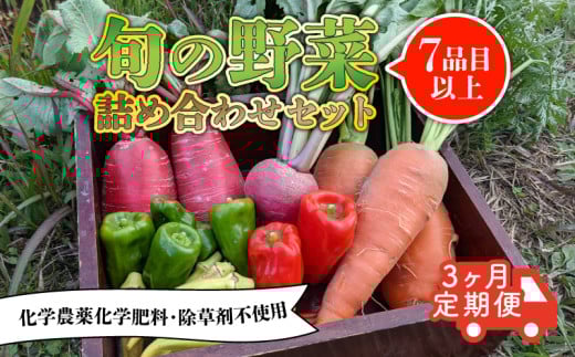 【先行予約】【定期便】旬のお野菜セット 詰め合わせ 3ヶ月定期便（7～10品目） 定期便 3か月 3回 旬 野菜 国産 こだわり 京都府産 京丹波町産 季節 セット 有機肥料 化学農薬不使用 化学肥料不使用 除草剤不使用 おいしい おすすめ 一人暮らし