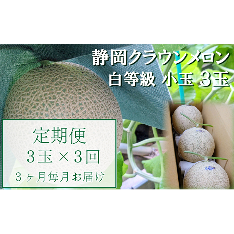 【3か月定期便】クラウンメロン【並(白等級)】小玉(1.1kg前後)3玉入り 果物 メロン青肉 フルーツ デザート 高級メロンブランド 高級メロン ブランドメロン 
