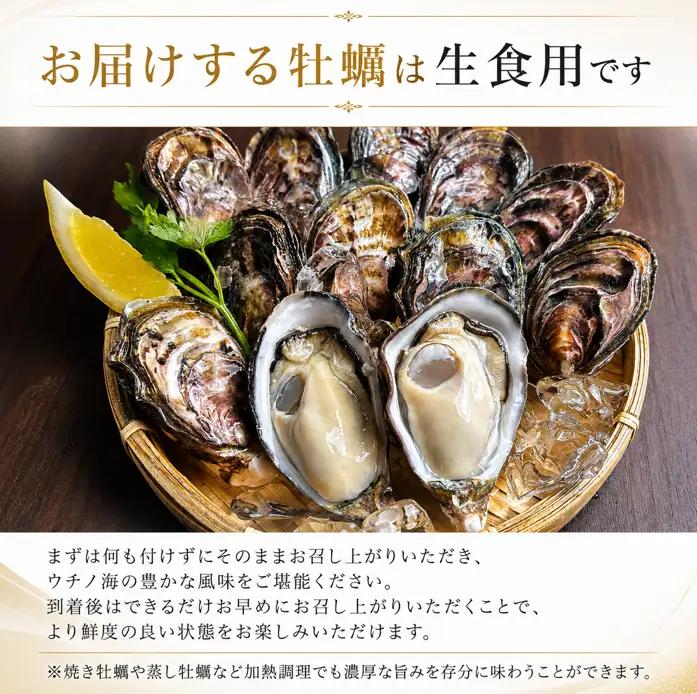 牡蠣 生食用 《全国牡蠣-1グランプリ 準グランプリ受賞！》 25個