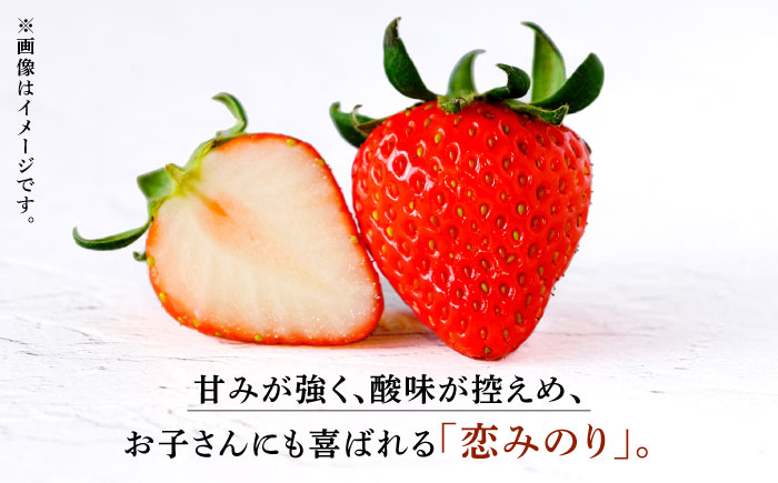 【3回定期便】【数量限定】高級 冷凍  いちご 加工用 約1kg（約500g×2袋）【伊藤農園】 恋みのり 冷凍 いちご 冷凍いちご 加工用  [ZBB015]