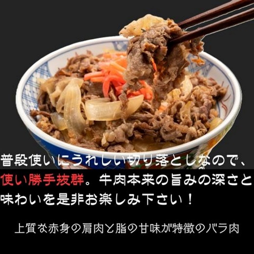 ZG280.訳あり！博多和牛A4～A5ランク切り落とし250g【博多和牛】
