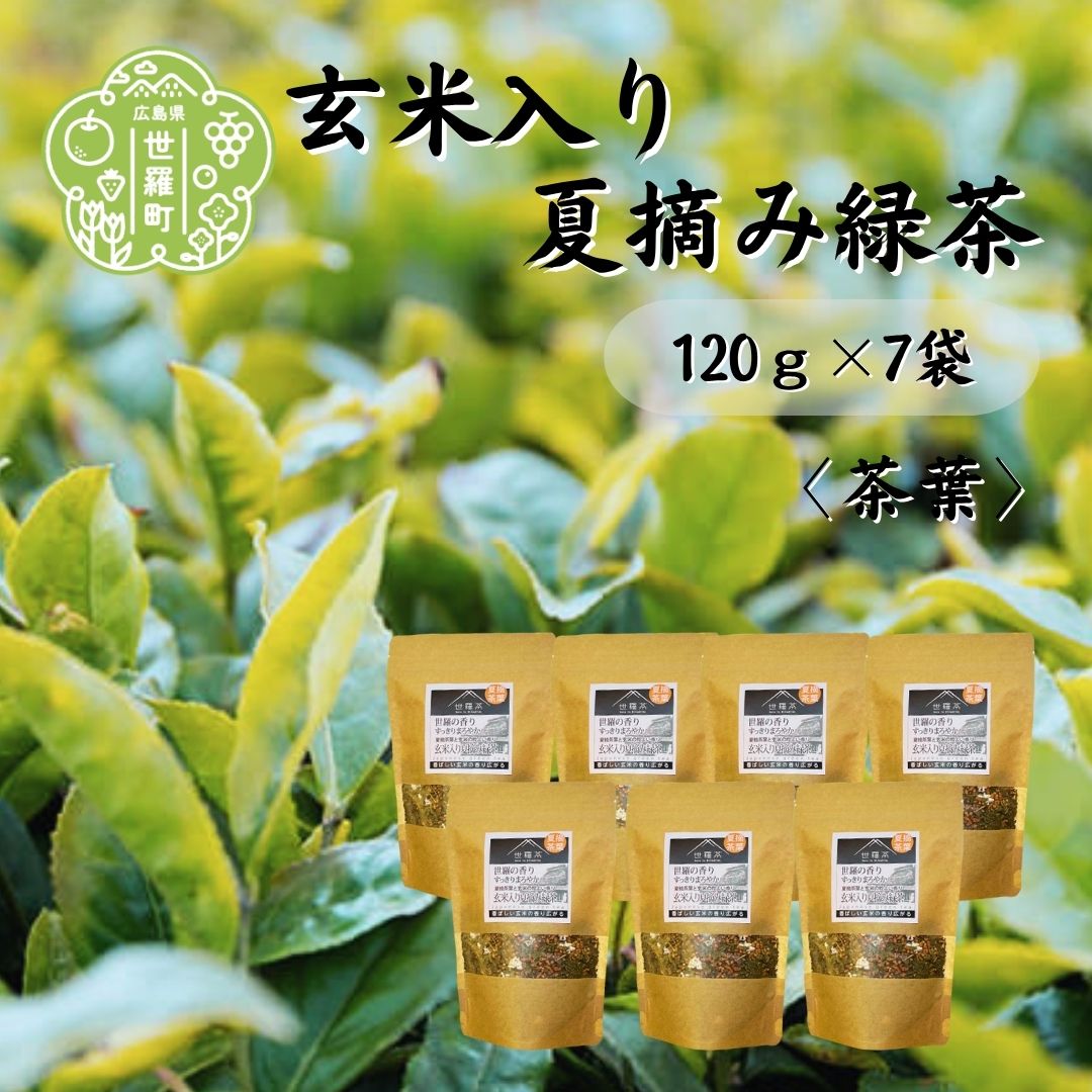 【ふるさと納税】玄米入り夏摘み緑茶 120g×7袋 世羅茶 お茶 茶葉 玄米茶 緑茶 日本茶 A030-08