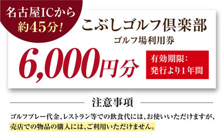こぶしゴルフ倶楽部　プレー割引券6千円分（寄附金区分2万円） [AVAO002]