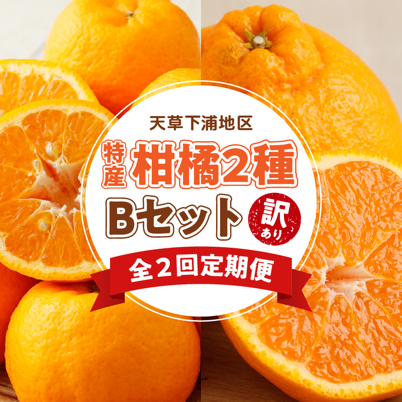 S040-T06_【定期便2回】天草　下浦特産の柑橘2種Ｂセット（訳あり）【先行受付】