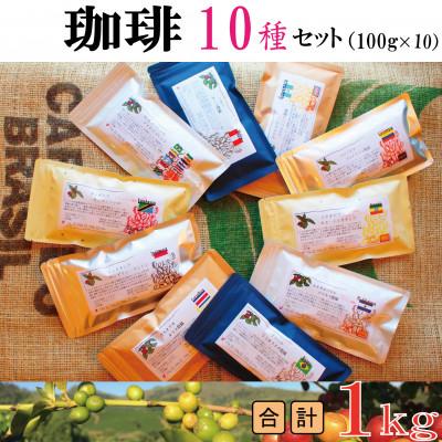 ふるさと納税 大刀洗町 世界の珈琲飲み比べ 豆コース 10種類(100g×10)合計1kg(ブラジル・モカ・キリマンetc) |  | 02