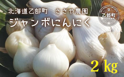 
            ＜ささや農園産ジャンボにんにく 2kg＞北海道産 国産 にんにく ニンニク 無農薬 化学肥料無使用
          