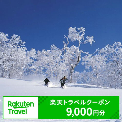 【ふるさと納税】北海道名寄市の対象施設で使える楽天トラベルクーポン 寄付額30,000円