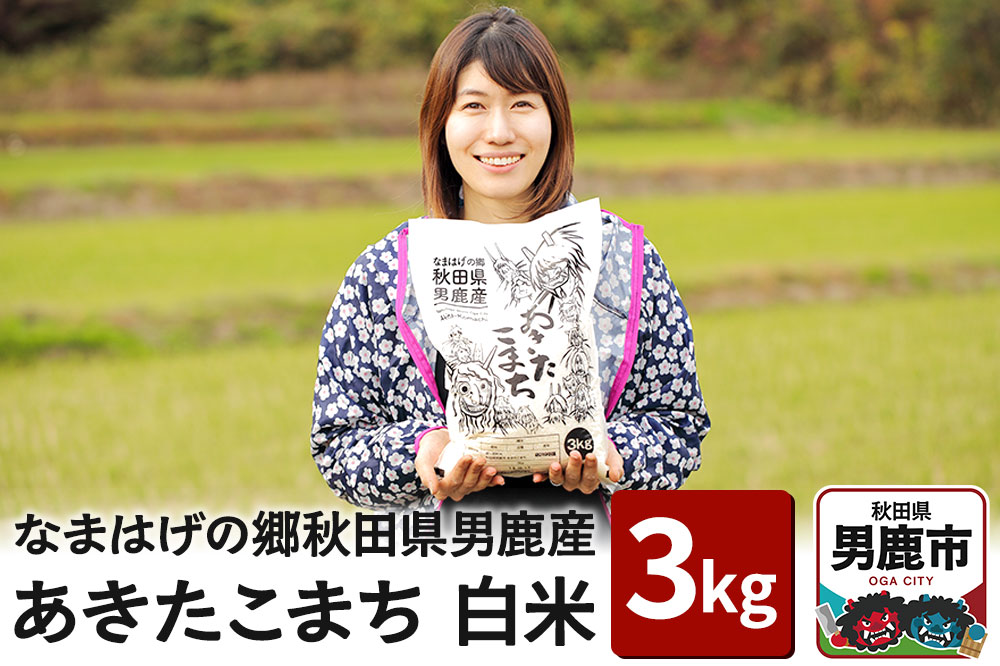 なまはげの郷秋田県男鹿産 あきたこまち 3kg 白米 令和6年産 男鹿なび お米