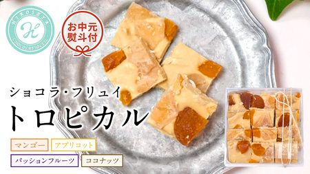 【お中元熨斗付】ショコラフリュイ トロピカル