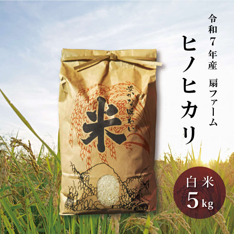 【ふるさと納税】お米 令和7年産 新米 ヒノヒカリ 白米5kg [化学肥料不使用 扇ファーム 加東市産 兵庫県加東市 加東市]