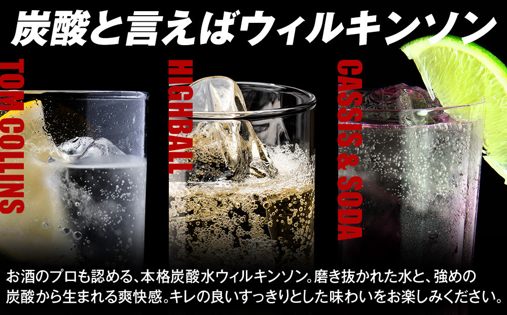 アサヒウィルキンソン タンサンPET5０0ml　24本入　2ケース