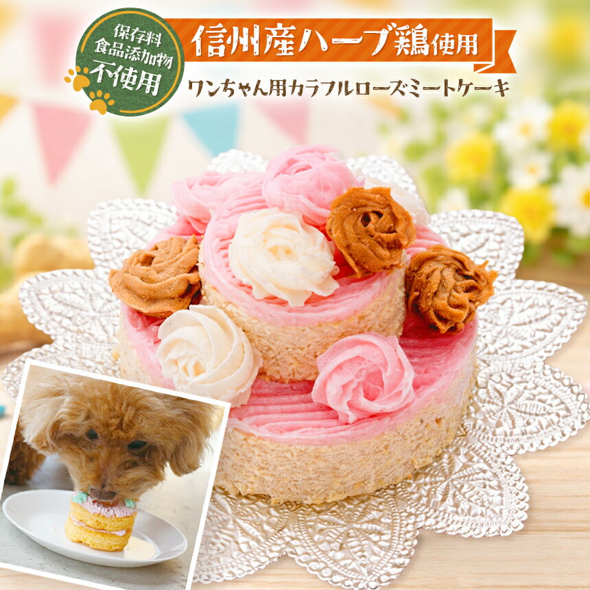 【ふるさと納税】 ペットフード お祝い カラフル ローズ ミート ケーキ ( 犬用 )| 犬 おやつ プレゼント 誕生日 信州産 ハーブ鶏 肉 手作り 保存料不使用 冷凍 信州 八ヶ岳 長野県 諏訪郡 原村