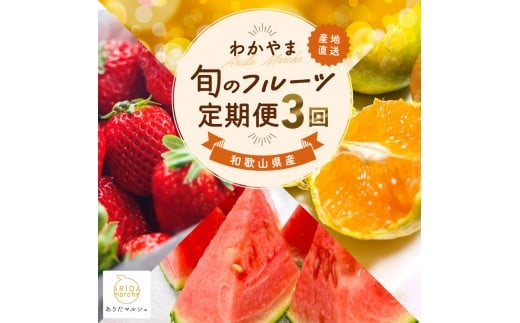 わかやま旬のフルーツ定期便[L] 全3回 2～3・6・10月発送 家庭用 ［MS121］