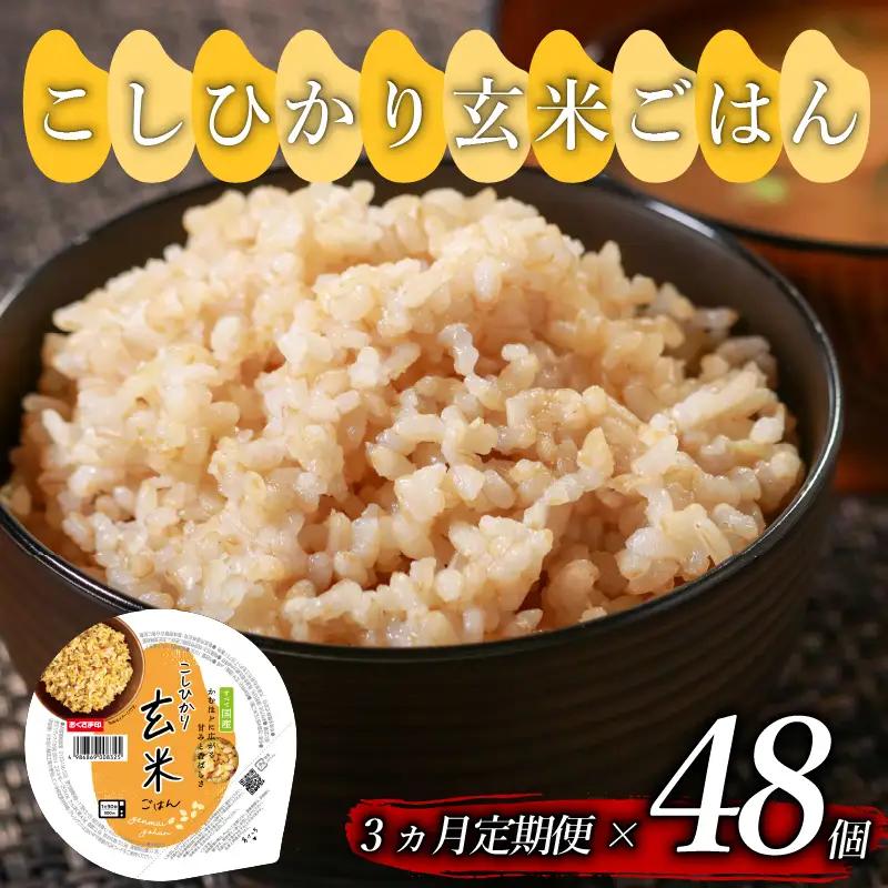 【玄米パック】 定期便3回 プレミアムこしひかり 160g 48個 玄米パック