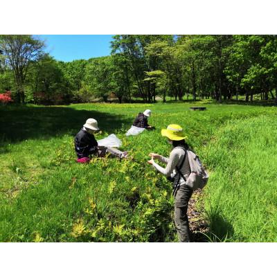 ふるさと納税 白老町 グランマ自家焙煎の野草茶3個入り×3パック |  | 02
