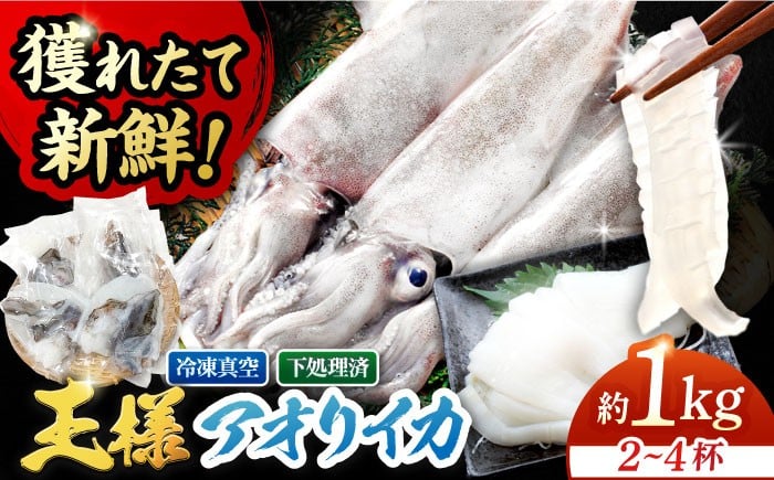 
                  【イカの王様】アオリイカ 1kg（2～4杯） 五島市/金沢鮮魚 [PEP005] イカ 水いか 肉厚 いか 小分け 下処理済 冷凍 刺身 真空パック
                