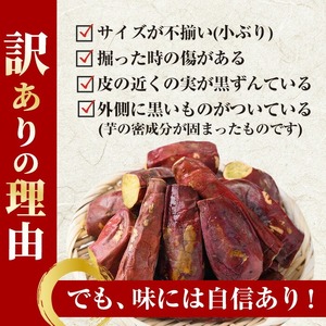 No.1344 ＜定期便＞＜訳あり・規格外＞ハーフカット 紅はるか 冷凍焼きいも (計5.4kg以上・600g×3袋×3回) 国産 九州産 サツマイモ さつま芋 訳アリ 規格外 紅春香 芋 焼き芋 や