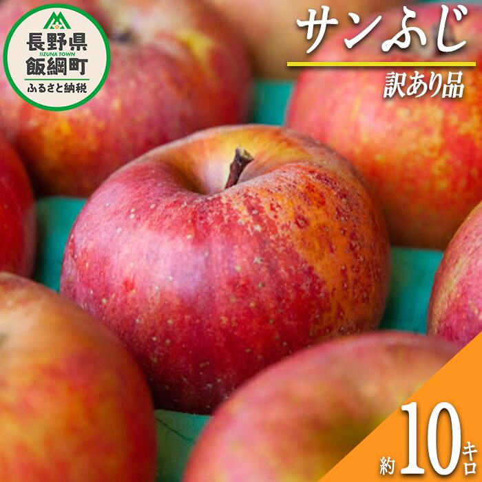 長野県飯綱町 サンふじ 10kg 訳あり